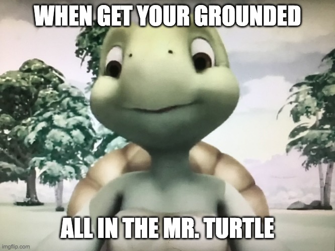 angry your grounded grounded grounded | WHEN GET YOUR GROUNDED; ALL IN THE MR. TURTLE | image tagged in mr turtle | made w/ Imgflip meme maker