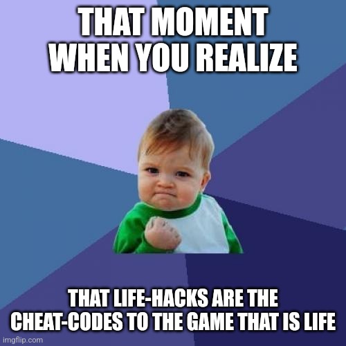 *sudden realization noises* | THAT MOMENT WHEN YOU REALIZE; THAT LIFE-HACKS ARE THE CHEAT-CODES TO THE GAME THAT IS LIFE | image tagged in memes,success kid,life hack,video games,simothefinlandized | made w/ Imgflip meme maker