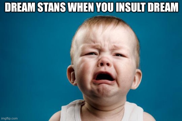 BABY CRYING |  DREAM STANS WHEN YOU INSULT DREAM | image tagged in baby crying | made w/ Imgflip meme maker