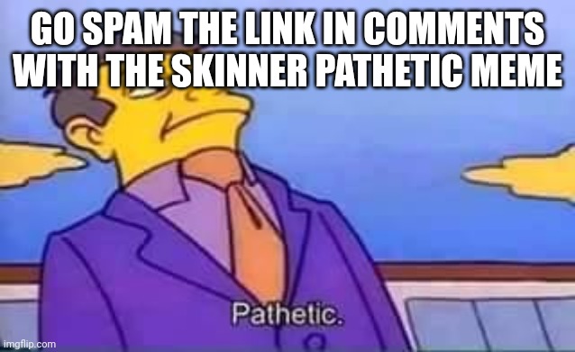 skinner pathetic | GO SPAM THE LINK IN COMMENTS WITH THE SKINNER PATHETIC MEME | image tagged in skinner pathetic | made w/ Imgflip meme maker