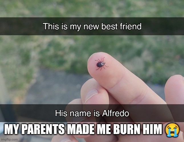 MY PARENTS MADE ME BURN HIM 😭 | made w/ Imgflip meme maker