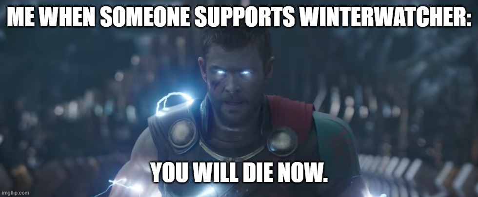 Winterwatcher Sucks | ME WHEN SOMEONE SUPPORTS WINTERWATCHER:; YOU WILL DIE NOW. | image tagged in anger | made w/ Imgflip meme maker