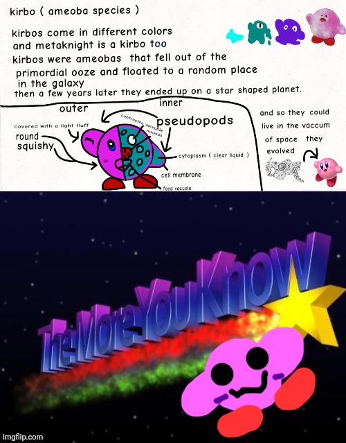 Anatomy of a kirbo | image tagged in kirby anatomy,the more you know | made w/ Imgflip meme maker