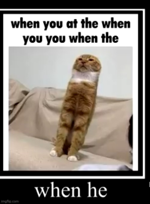 made w/ Imgflip meme maker