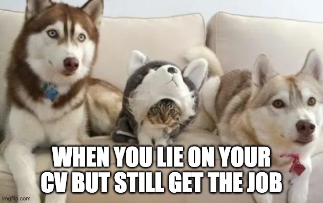 WHEN YOU LIE ON YOUR CV BUT STILL GET THE JOB | image tagged in unnecessary tags | made w/ Imgflip meme maker