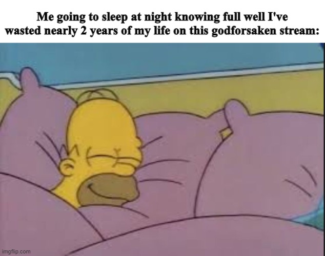 haha | Me going to sleep at night knowing full well I've wasted nearly 2 years of my life on this godforsaken stream: | made w/ Imgflip meme maker