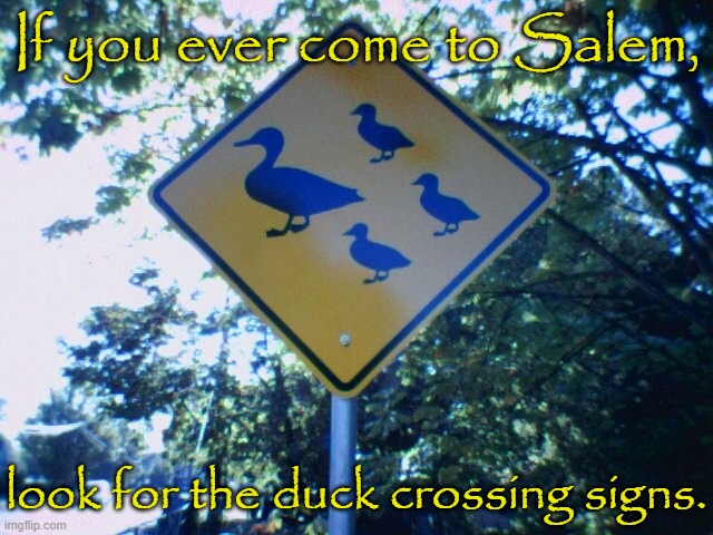 As seen in "One Flew Over the Cuckoo's Nest." |  If you ever come to Salem, look for the duck crossing signs. | image tagged in duck crossing - salem oregon,funny road signs,animals,birds | made w/ Imgflip meme maker