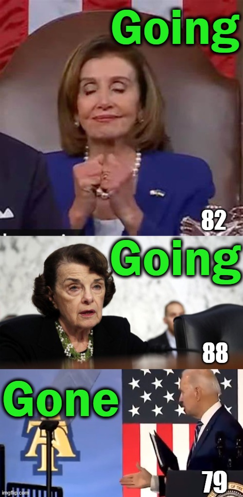 Time For Some New Blood At The Top | Going; Going; 82; Gone; 88; 79 | image tagged in political meme,nancy pelosi,dianne feinstein,joe biden,going,gone | made w/ Imgflip meme maker