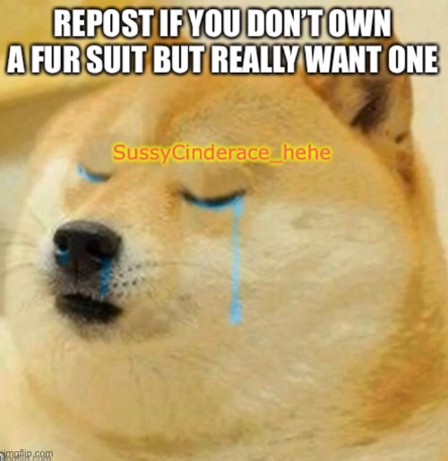 T-T | image tagged in sad,furry | made w/ Imgflip meme maker