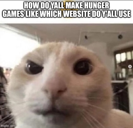 Raised eyebrow cat | HOW DO YALL MAKE HUNGER GAMES LIKE WHICH WEBSITE DO Y'ALL USE | image tagged in raised eyebrow cat | made w/ Imgflip meme maker