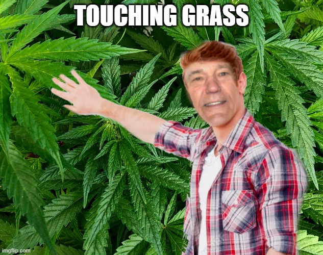 touching grass | TOUCHING GRASS | image tagged in touching grass,kewlew | made w/ Imgflip meme maker