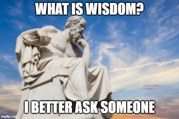 Socratic Method | WHAT IS WISDOM? I BETTER ASK SOMEONE | image tagged in socrates,philosophy | made w/ Imgflip meme maker
