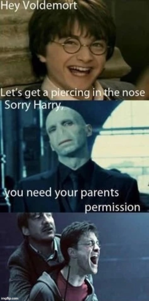 Credit to whoever put this in the PotterheadsUnite stream | made w/ Imgflip meme maker