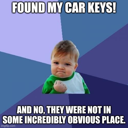 Success Kid | FOUND MY CAR KEYS! AND NO, THEY WERE NOT IN SOME INCREDIBLY OBVIOUS PLACE. | image tagged in memes,success kid | made w/ Imgflip meme maker