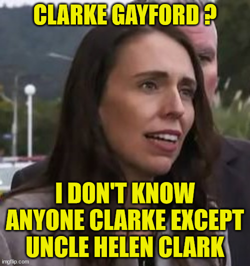 Uncle Helen | CLARKE GAYFORD ? I DON'T KNOW ANYONE CLARKE EXCEPT UNCLE HELEN CLARK | image tagged in liar liar pants on fire,new zealand,who cares,people who don't know vs people who know,i love clowns | made w/ Imgflip meme maker