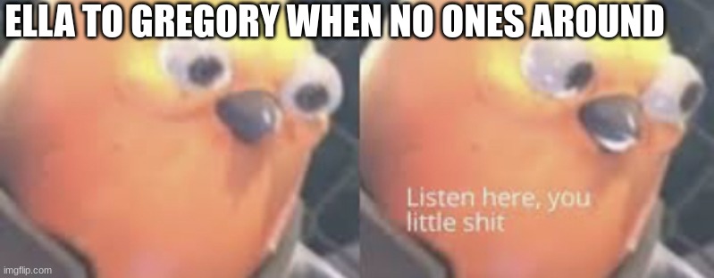 yes | ELLA TO GREGORY WHEN NO ONES AROUND | image tagged in listen here you little shit bird | made w/ Imgflip meme maker