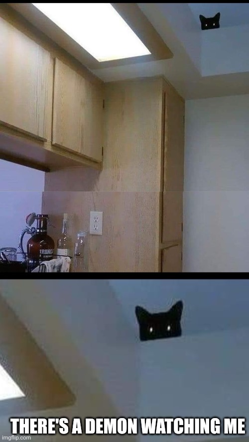 IT'S "UP" TO SOMETHING | THERE'S A DEMON WATCHING ME | image tagged in cats,funny cats | made w/ Imgflip meme maker