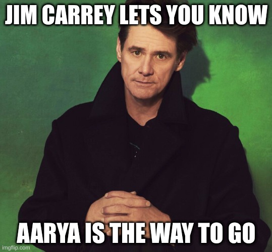 JIM CARREY LETS YOU KNOW; AARYA IS THE WAY TO GO | image tagged in vote | made w/ Imgflip meme maker