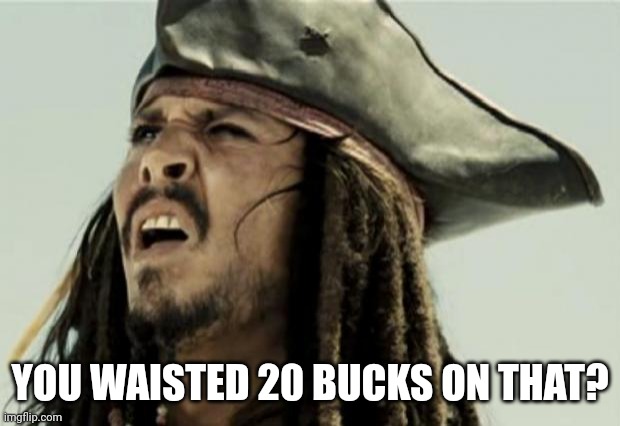 confused dafuq jack sparrow what | YOU WAISTED 20 BUCKS ON THAT? | image tagged in confused dafuq jack sparrow what | made w/ Imgflip meme maker