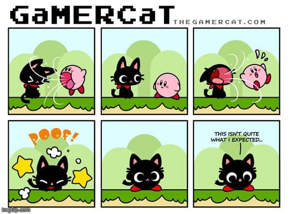 KIRBY CAT | image tagged in cats,kirby,comics/cartoons | made w/ Imgflip meme maker