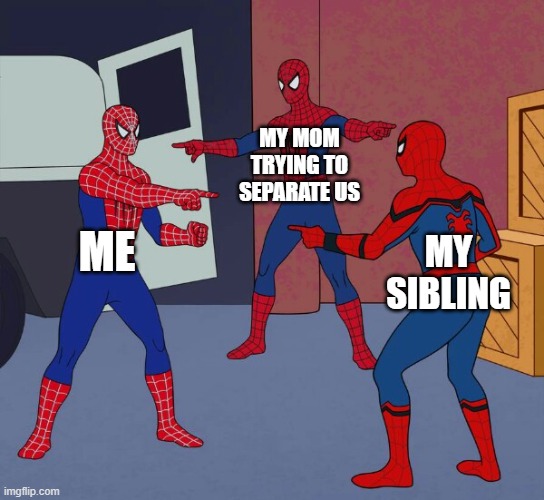 Spider Man Triple | MY MOM TRYING TO SEPARATE US; ME; MY SIBLING | image tagged in spider man triple | made w/ Imgflip meme maker