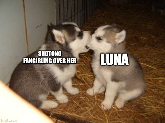 :3 | SHOTONO FANGIRLING OVER HER; LUNA | image tagged in memes,cute puppies | made w/ Imgflip meme maker