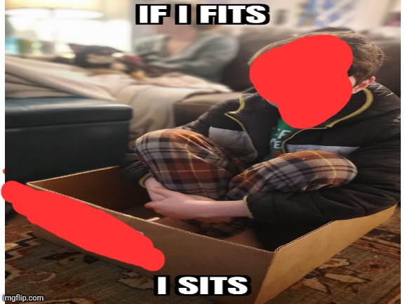 Me in a box. | image tagged in box,cat | made w/ Imgflip meme maker