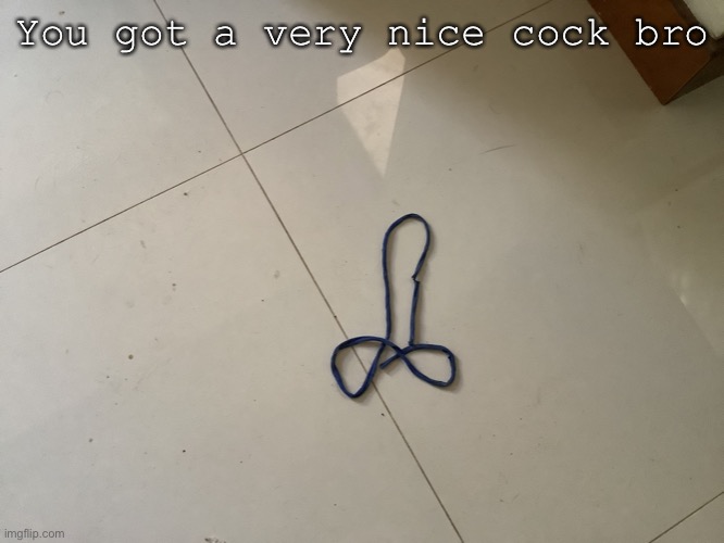 You got a very nice cock bro | made w/ Imgflip meme maker