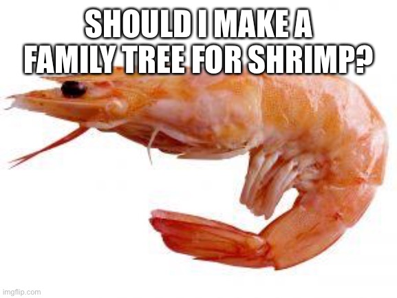 Shrimply | SHOULD I MAKE A FAMILY TREE FOR SHRIMP? | image tagged in shrimply | made w/ Imgflip meme maker