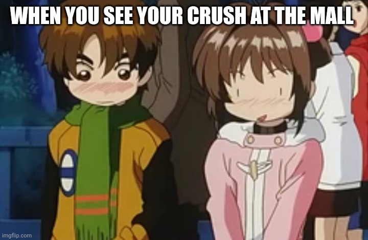 WHEN YOU SEE YOUR CRUSH AT THE MALL | made w/ Imgflip meme maker