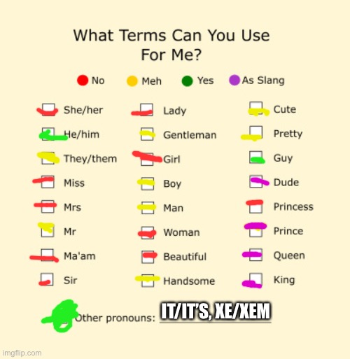 So basically I use he/xe/it pronouns, mainly xe/it | IT/IT’S, XE/XEM | image tagged in pronouns sheet | made w/ Imgflip meme maker