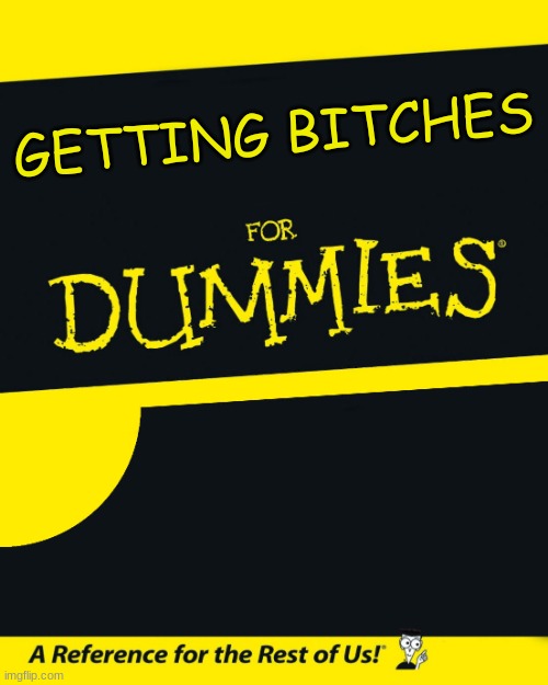Follow these books to become a player |  GETTING BITCHES | image tagged in for dummies | made w/ Imgflip meme maker
