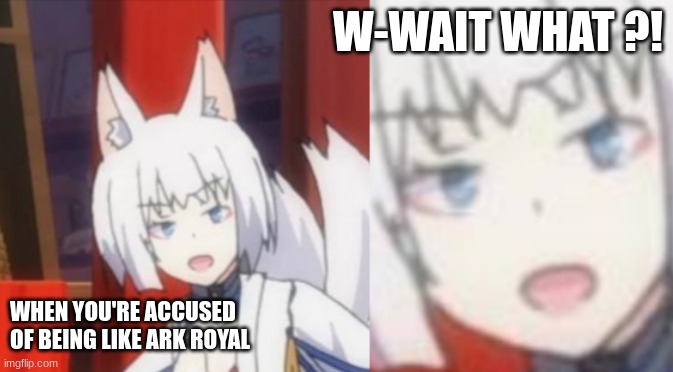 I'm not Ark Royal | W-WAIT WHAT ?! WHEN YOU'RE ACCUSED 
OF BEING LIKE ARK ROYAL | image tagged in the what kaga | made w/ Imgflip meme maker