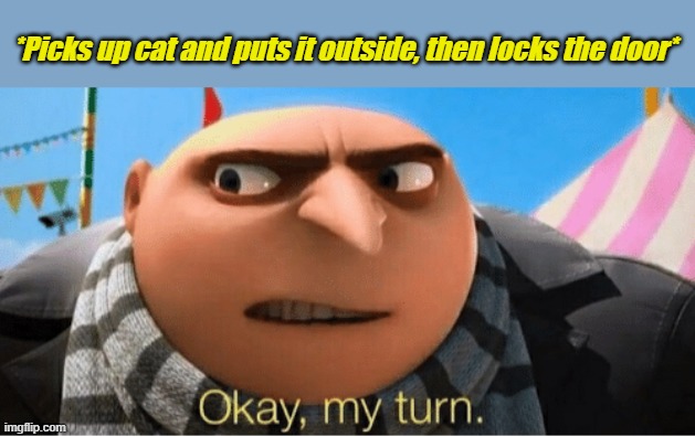 Okay my turn | *Picks up cat and puts it outside, then locks the door* | image tagged in okay my turn | made w/ Imgflip meme maker