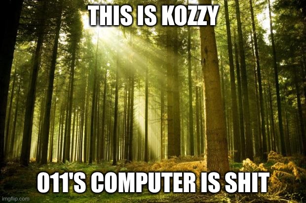 sunlit forest | THIS IS KOZZY 011'S COMPUTER IS SHIT | image tagged in sunlit forest | made w/ Imgflip meme maker