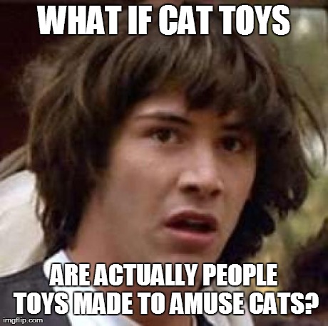 Cat Toys? You mean People Toys. | WHAT IF CAT TOYS ARE ACTUALLY PEOPLE TOYS MADE TO AMUSE CATS? | image tagged in memes,conspiracy keanu,cats,animals,fails | made w/ Imgflip meme maker