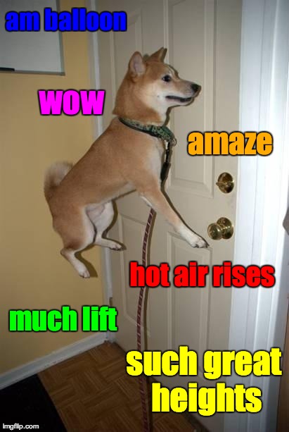 am balloon amaze much lift wow hot air rises such great heights | made w/ Imgflip meme maker