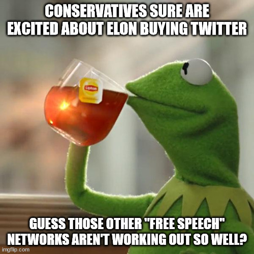 But That's None Of My Business | CONSERVATIVES SURE ARE EXCITED ABOUT ELON BUYING TWITTER; GUESS THOSE OTHER "FREE SPEECH" NETWORKS AREN'T WORKING OUT SO WELL? | image tagged in memes,but that's none of my business,kermit the frog | made w/ Imgflip meme maker