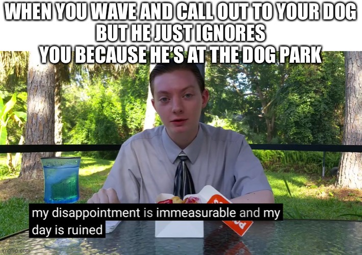 This just happened | WHEN YOU WAVE AND CALL OUT TO YOUR DOG
BUT HE JUST IGNORES YOU BECAUSE HE’S AT THE DOG PARK | image tagged in my disappointment is immeasurable,dogs,dog,park | made w/ Imgflip meme maker