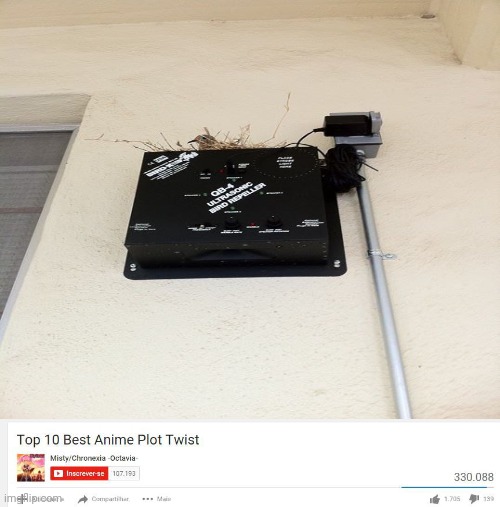 Bird on bird repeller | image tagged in top 10 anime plot twists,birds,bird,memes,meme,plot twist | made w/ Imgflip meme maker