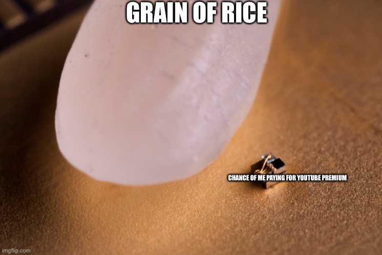 Grain Of Rice | GRAIN OF RICE; CHANCE OF ME PAYING FOR YOUTUBE PREMIUM | image tagged in grain of rice | made w/ Imgflip meme maker