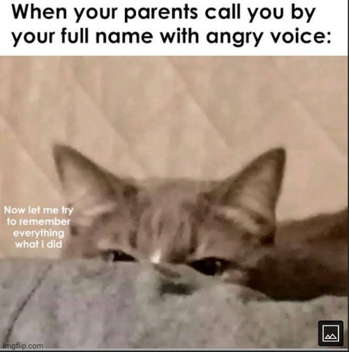 image tagged in parents,angry,voice | made w/ Imgflip meme maker