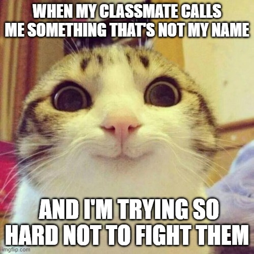 ALL'S GOOD, ALL'S GOOD, ALL'S- | WHEN MY CLASSMATE CALLS ME SOMETHING THAT'S NOT MY NAME; AND I'M TRYING SO HARD NOT TO FIGHT THEM | image tagged in memes,smiling cat | made w/ Imgflip meme maker