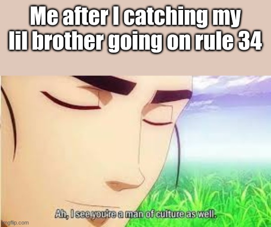 Low iq meme | Me after I catching my lil brother going on rule 34 | image tagged in ah i see you are a man of culture as well | made w/ Imgflip meme maker
