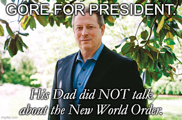 Revising the Presidential Campaign of 2000 [part three] | GORE FOR PRESIDENT. His Dad did NOT talk about the New World Order. | image tagged in al gore statue,george w bush,bush family,conspiracy theory | made w/ Imgflip meme maker