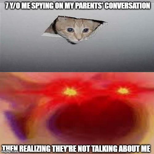 Was it just me??? | 7 Y/O ME SPYING ON MY PARENTS' CONVERSATION; THEN REALIZING THEY'RE NOT TALKING ABOUT ME | image tagged in ceiling cat | made w/ Imgflip meme maker