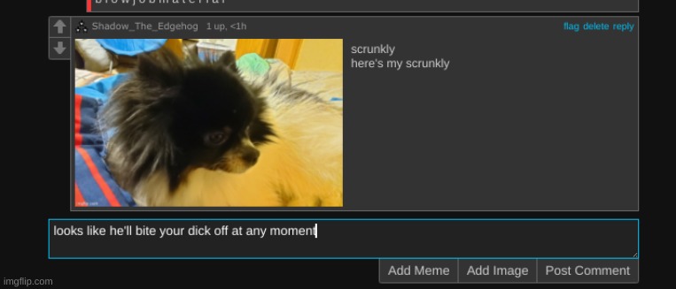 made w/ Imgflip meme maker