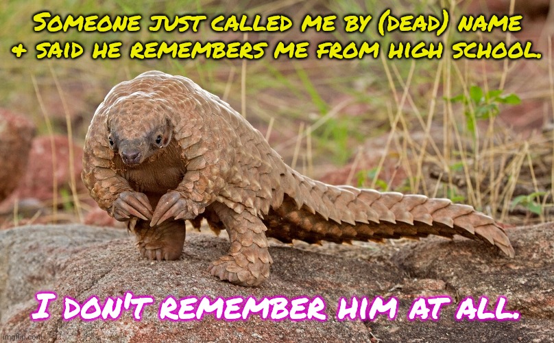 Yikes! | Someone just called me by (dead) name & said he remembers me from high school. I don't remember him at all. | image tagged in ummm pangolin,akward,past,bad memory | made w/ Imgflip meme maker