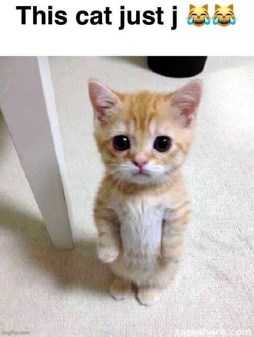Cute Cat Meme | This cat just j ?? | image tagged in memes,cute cat | made w/ Imgflip meme maker