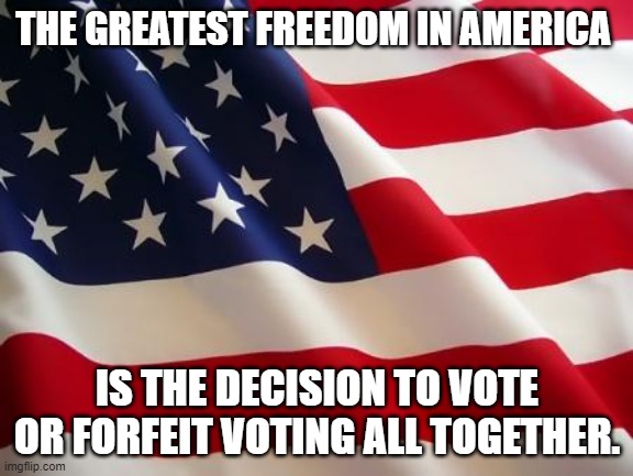 American flag | THE GREATEST FREEDOM IN AMERICA; IS THE DECISION TO VOTE OR FORFEIT VOTING ALL TOGETHER. | image tagged in american flag | made w/ Imgflip meme maker